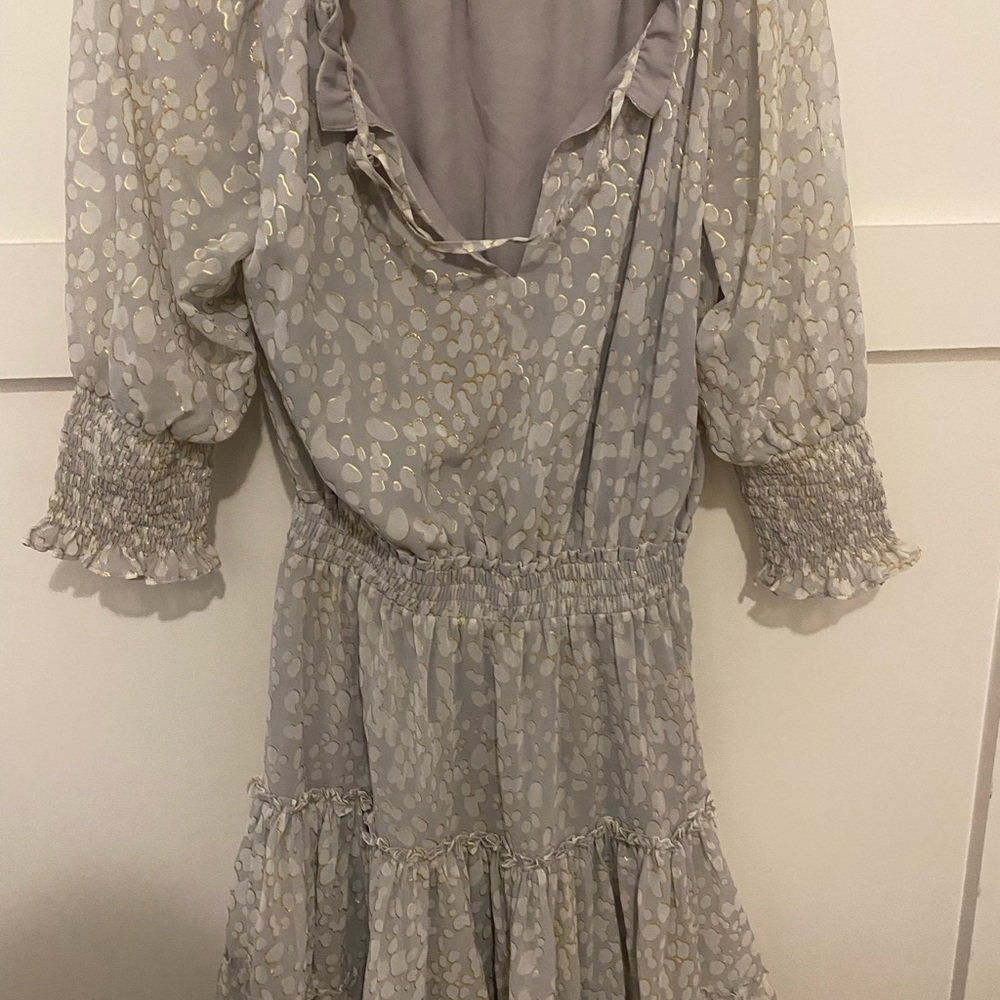 Buddy Love “ZoZo” Dress